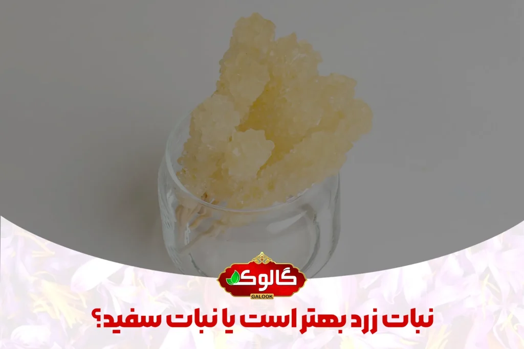 نبات شاخه ای در بک گراند که روی آن نوشته شده نبات زرد بهتر است یا نبات سفید؟ به همراه لوگو گالوک
