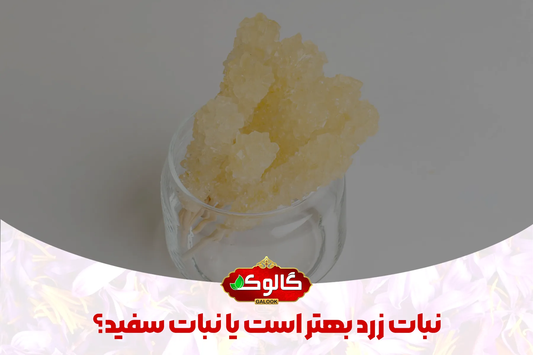 نبات شاخه ای در بک گراند که روی آن نوشته شده نبات زرد بهتر است یا نبات سفید؟ به همراه لوگو گالوک